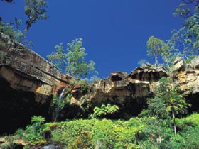 Blackdown Tableland National Park - Accommodation Port Macquarie 1