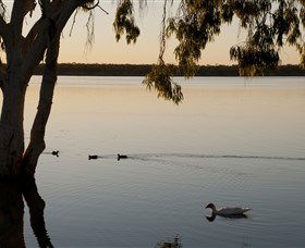 Lake Elphinstone - Accommodation Port Macquarie 2