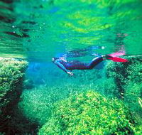 Piccaninnie Ponds Conservation Park - Accommodation Port Macquarie