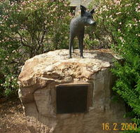 Dingo Statue - Accommodation Port Macquarie
