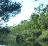 Crawford River Regional Park - Accommodation Port Macquarie