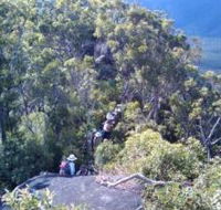 Mia Mia State Forest - Accommodation Port Macquarie