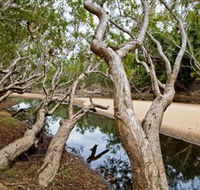 Oyala Thumotang National Park CYPAL - Accommodation Port Macquarie