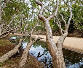Oyala Thumotang National Park (CYPAL) - Accommodation Port Macquarie 0