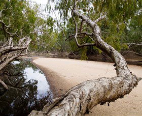 Oyala Thumotang National Park (CYPAL) - Accommodation Port Macquarie 3
