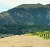 Langi Ghiran State Park - Accommodation Port Macquarie