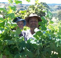 Wimmera Hills Winery - Accommodation Port Macquarie