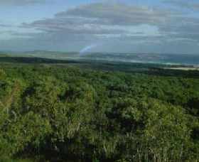 Mount Richmond National Park - Accommodation Port Macquarie 0