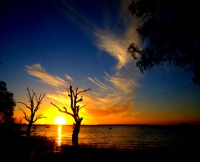 Lake Cowal - Accommodation Port Macquarie 0