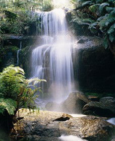 Middle Creek ACT Accommodation Port Macquarie