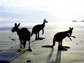 Hibiscus Coast - Accommodation Port Macquarie 0