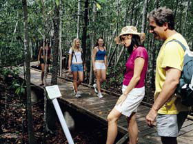 Hibiscus Coast - Accommodation Port Macquarie 3