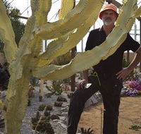 Cactus Country - Accommodation Port Macquarie