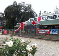 The Big Strawberry - Accommodation Port Macquarie