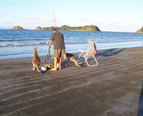 Cape Hillsborough National Park - Accommodation Port Macquarie 0