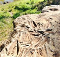 Terramungamine Rock Grooves - Accommodation Port Macquarie