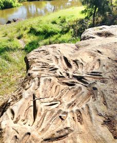Terramungamine Rock Grooves - Accommodation Port Macquarie 0