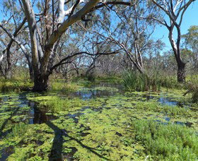 Macquarie Valley Trails - Accommodation Port Macquarie 0