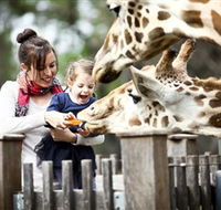 Taronga Western Plains Zoo Dubbo - Accommodation Port Macquarie