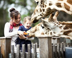 Taronga Western Plains Zoo, Dubbo - Accommodation Port Macquarie 0