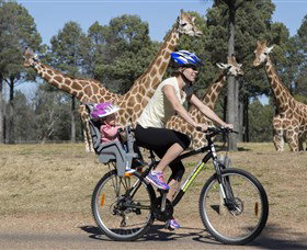 Taronga Western Plains Zoo, Dubbo - Accommodation Port Macquarie 2