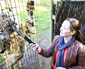 Taronga Western Plains Zoo, Dubbo - Accommodation Port Macquarie 3