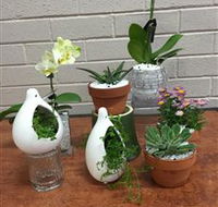 Cobram Florist - Accommodation Port Macquarie