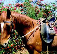 Western Plains Riding Centre - Accommodation Port Macquarie