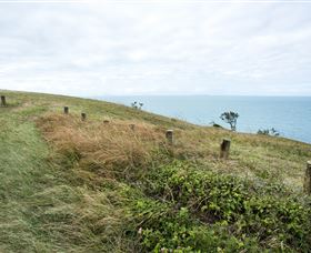 Cape Palmerston National Park - Accommodation Port Macquarie 3