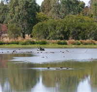 Cussen Park - Accommodation Port Macquarie