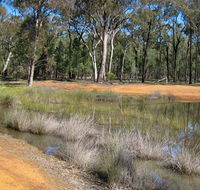 Beni State Conservation Area - Accommodation Port Macquarie