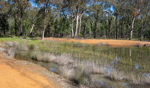 Beni State Conservation Area - Accommodation Port Macquarie 0
