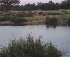 Savernake Day Tours - Accommodation Port Macquarie 7