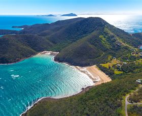 Birdwatching On Keswick Island - Accommodation Port Macquarie 1