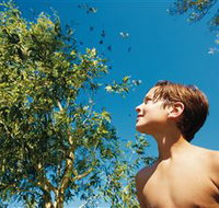 Bushwalking on Keswick Island - Accommodation Port Macquarie