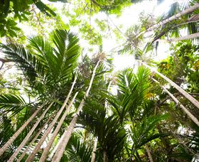 Bushwalking On Keswick Island - Accommodation Port Macquarie 1