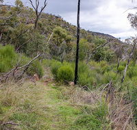 Lynchs loop trail - Accommodation Port Macquarie