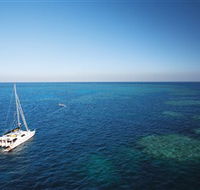 Bait Reef and Garys Lagoon Dive Site - Accommodation Port Macquarie