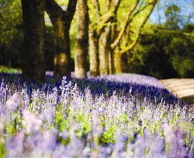 Duneira, Mt Macedon - Accommodation Port Macquarie 4