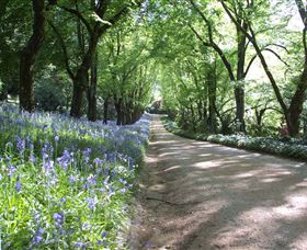 Duneira, Mt Macedon - Accommodation Port Macquarie 3