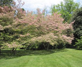 Duneira, Mt Macedon - Accommodation Port Macquarie 7