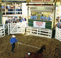 Gracemere Exhibition Complex - Accommodation Port Macquarie