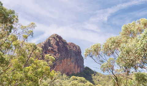Green Camp - Accommodation Port Macquarie 0