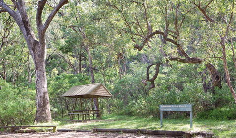 Green Camp - Accommodation Port Macquarie 1