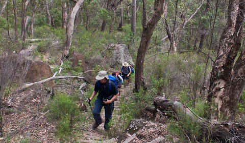 Yulludunida Walking Track - Accommodation Port Macquarie 3
