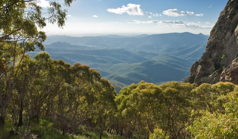Kaputar Scenic Drive - Accommodation Port Macquarie 1