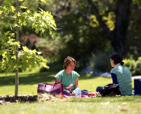 Botanic Gardens Wagga Wagga - Accommodation Port Macquarie 0