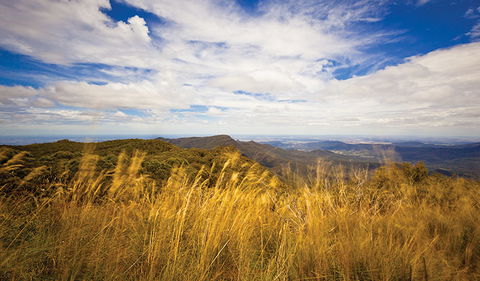 Mount Kaputar Summit Walk - Accommodation Port Macquarie 1