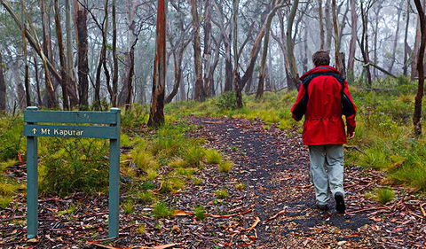 Mount Kaputar Summit Walk - Accommodation Port Macquarie 2