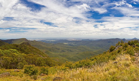Mount Kaputar Summit Walk - Accommodation Port Macquarie 3